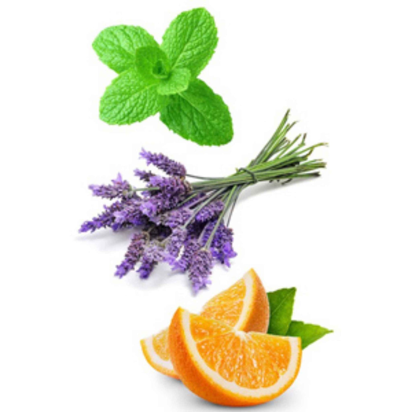 Mint leaves, lavender flowers, and orange slices on a white background